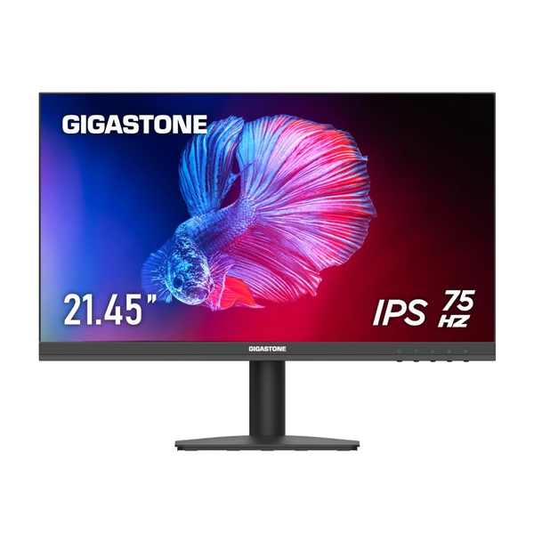 Gigastone 液晶モニター21.45型/1920×1080/IPS/178度広視野角/高解像度/75Hz/HDMI・VGA入力端子/フレームレス/黒 GJLM-22FA51-2145