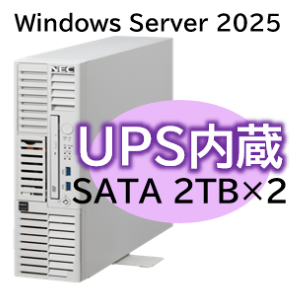 NEC Express5800/D/T110m-S UPS機能内蔵モデル Xeon 6315P 4C/16GB/SATA 2TB*2 RAID1/W2025/タワー 3年保証 NP8100-3024Y
