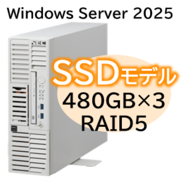 NEC Express5800/D/T110m-S(RAID5対応コントローラ)Xeon 6315P 4C/16GB/SSD 480GB*3 RAID5/W2025/タワー3年保証 NP8100-30