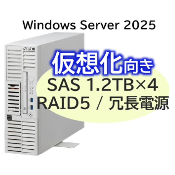 NEC Express5800/D/T110m-S(RAID5対応コントローラ)Xeon6333P 6C/32GB/SAS 1.2TB*4 RAID5/冗長電源/W2025/タワ- NP8100-30