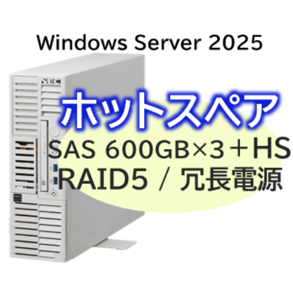 NEC Express5800/D/T110m-S(RAID5対応コントローラ)Xeon6333P6C/32GB/SAS 600GB*4 RAID5/冗長電源/W2025/タワー NP8100-302