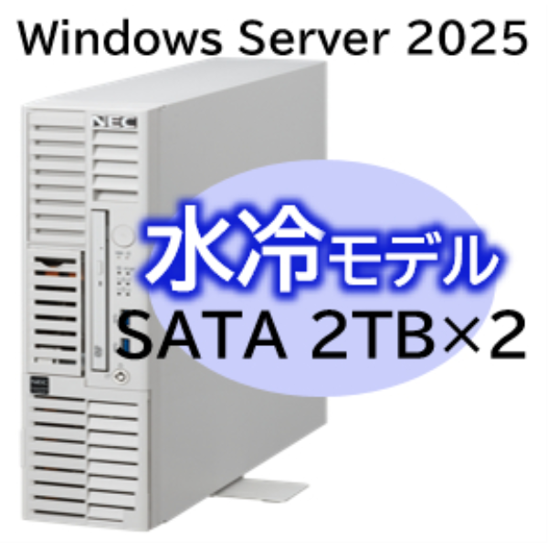 NEC Express5800/D/T110m-S 水冷モデル Xeon 6315P 4C/16GB/SATA 2TB*2 RAID1/W2025/タワー 3年保証 NP8100-3025YP4Y