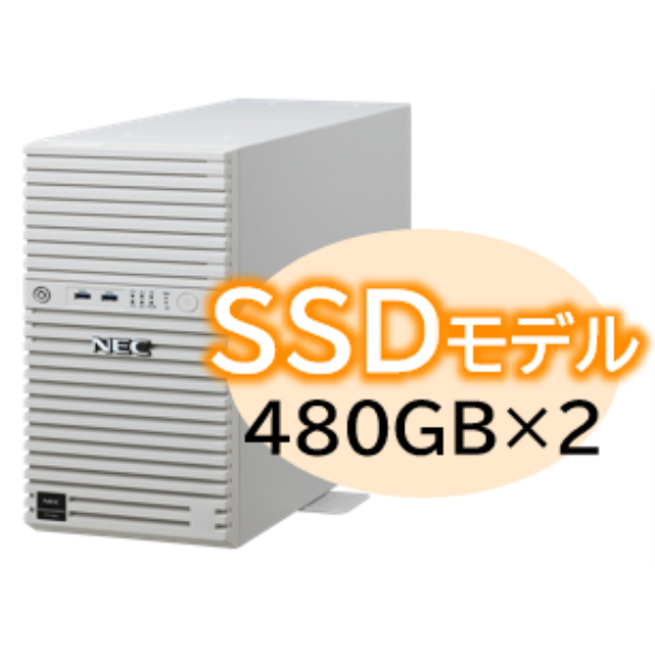 NEC Express5800/D/T110m Xeon 6315P 4C/16GB/SSD 480GB*2 RAID1/W2022/タワー 3年保証 NP8100-3026YP9Y