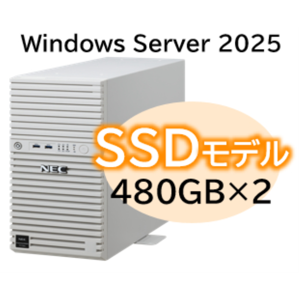 NEC Express5800/D/T110m Xeon 6315P 4C/16GB/SSD 480GB*2 RAID1/W2025/タワー 3年保証 NP8100-3026YPAY