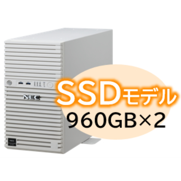 NEC Express5800/D/T110m Xeon 6315P 4C/16GB/SSD 960GB*2 RAID1/W2022/タワー 3年保証 NP8100-3026YPBY