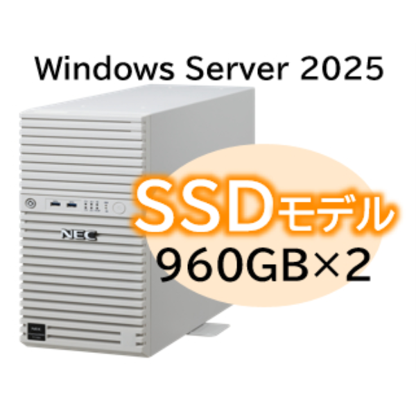 NEC Express5800/D/T110m Xeon 6315P 4C/16GB/SSD 960GB*2 RAID1/W2025/タワー 3年保証 NP8100-3026YPCY