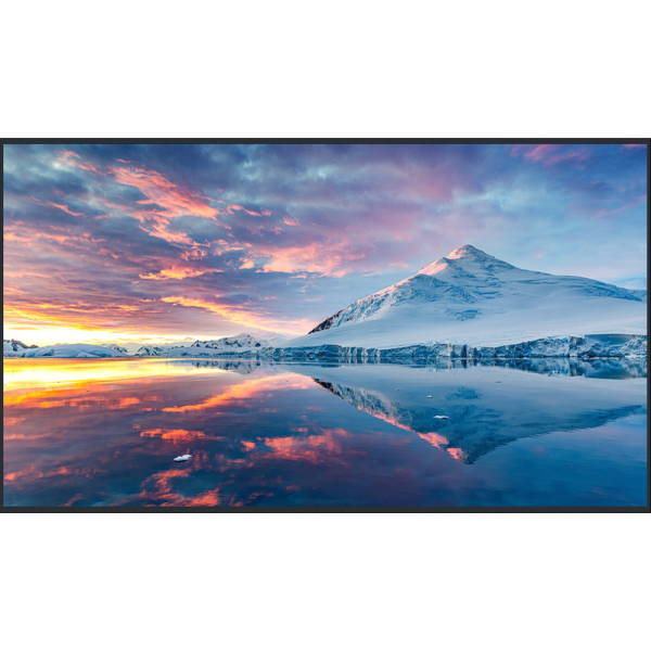 Panasonic 【法人限定】50型4K液晶エントリーディスプレイ/3840×2160/HDMI、ミニD-sub 15ピン/スピーカー：あり TH-50FQ1J