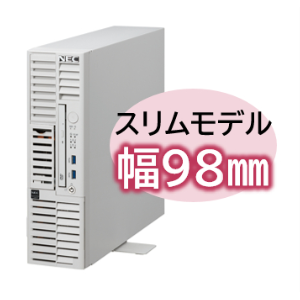NEC Express5800/D/T110m-S Xeon E-2414 4C/16GB/SATA 4TB*2 RAID1/W2022/タワー 3年保証 NP8100-2993YP4Y: